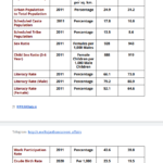 Rajasthan Investment Promotion Scheme (RIPS) 2022